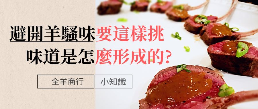 國產本土羊溫體羊沒有羊騷味