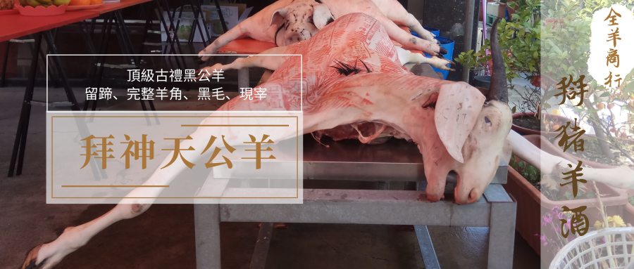 黑公羊謝神還願天公羊結婚禮俗習俗taiwan where buy sheep head